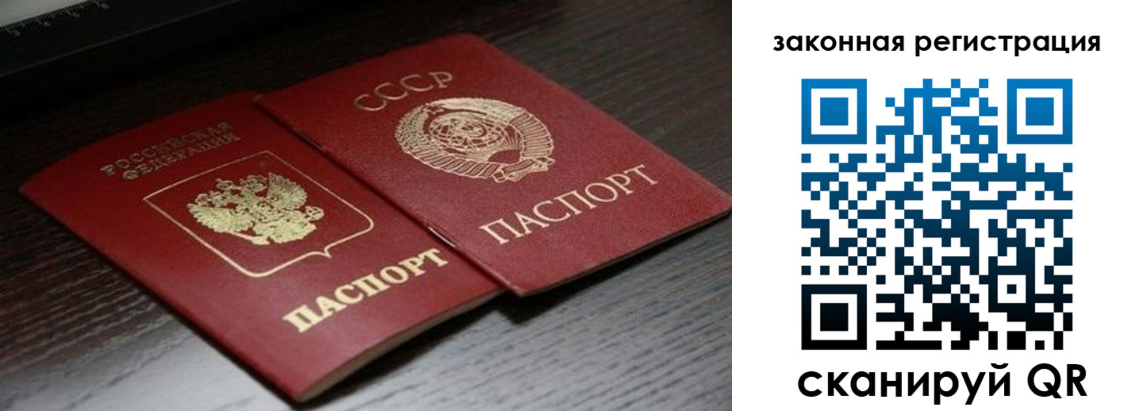 прописка поиск в Кашине